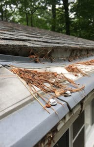 leaf filter installers, leaf filter contractors, ensz & sons gutters